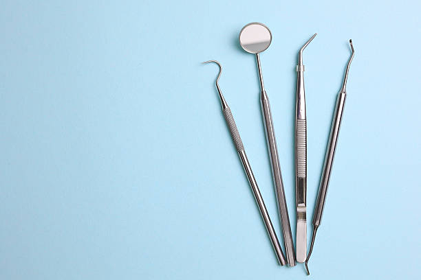 Top rated local Dental specialists in Redington Shores, FL